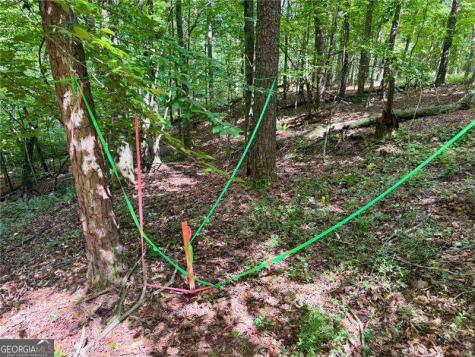 Lot 5 Fowler Creek Drive Cleveland GA 30528