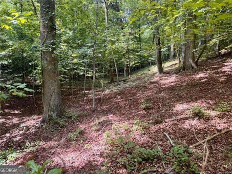 Lot 5 Fowler Creek Drive Cleveland GA 30528