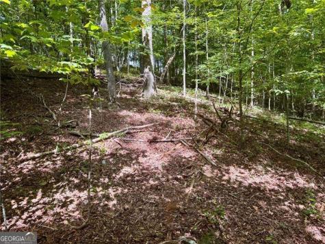 Lot 5 Fowler Creek Drive Cleveland GA 30528