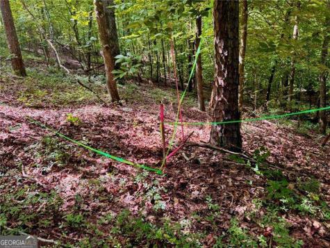 Lot 5 Fowler Creek Drive Cleveland GA 30528