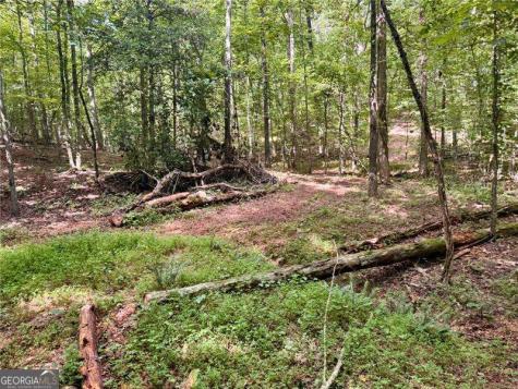 Lot 5 Fowler Creek Drive Cleveland GA 30528
