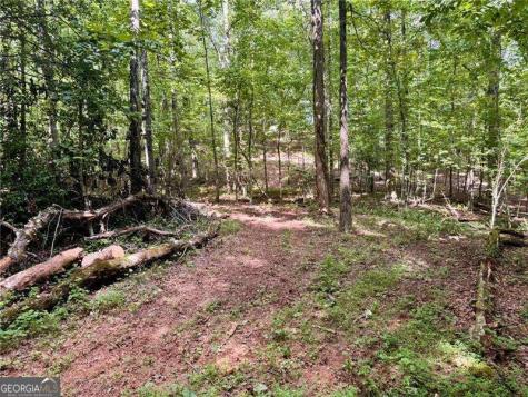 Lot 5 Fowler Creek Drive Cleveland GA 30528
