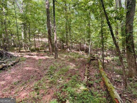 Lot 5 Fowler Creek Drive Cleveland GA 30528