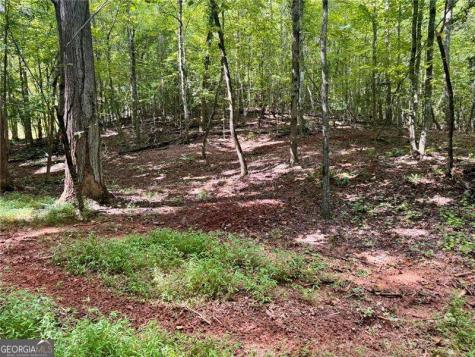 Lot 5 Fowler Creek Drive Cleveland GA 30528