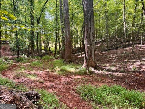 Lot 5 Fowler Creek Drive Cleveland GA 30528