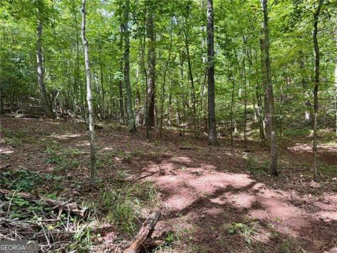 Lot 5 Fowler Creek Drive Cleveland GA 30528