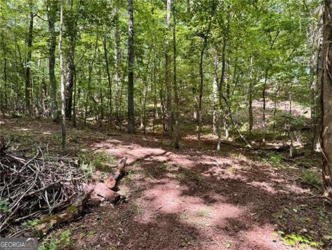 Lot 5 Fowler Creek Drive Cleveland GA 30528