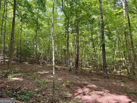 Lot 5 Fowler Creek Drive Cleveland GA 30528