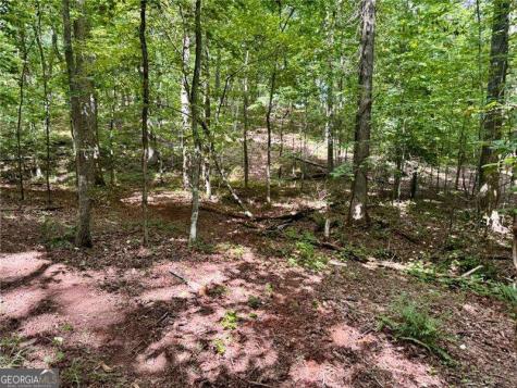 Lot 5 Fowler Creek Drive Cleveland GA 30528