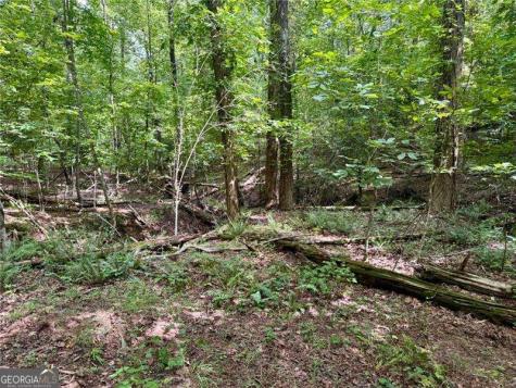 Lot 5 Fowler Creek Drive Cleveland GA 30528