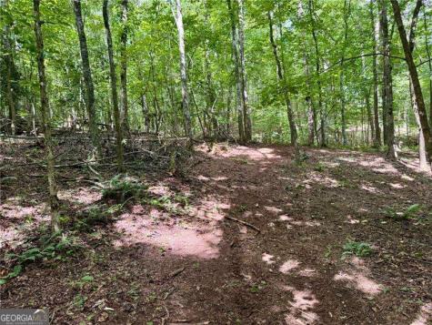Lot 5 Fowler Creek Drive Cleveland GA 30528