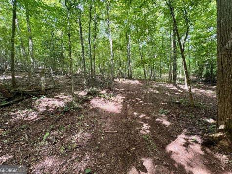 Lot 5 Fowler Creek Drive Cleveland GA 30528