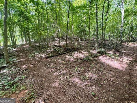 Lot 5 Fowler Creek Drive Cleveland GA 30528