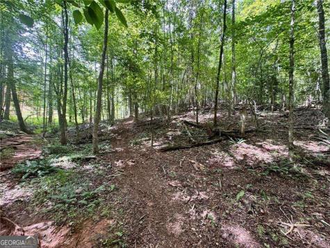 Lot 5 Fowler Creek Drive Cleveland GA 30528