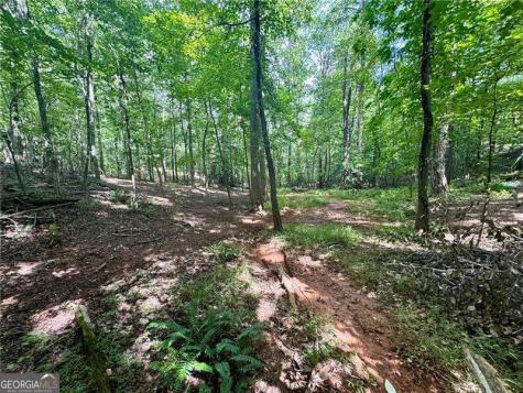 Lot 5 Fowler Creek Drive Cleveland GA 30528