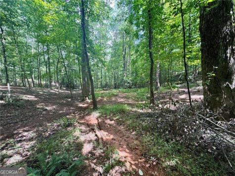 Lot 5 Fowler Creek Drive Cleveland GA 30528