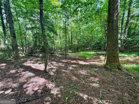 Lot 5 Fowler Creek Drive Cleveland GA 30528