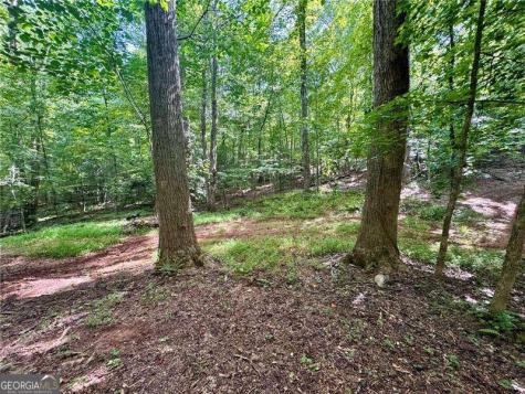 Lot 5 Fowler Creek Drive Cleveland GA 30528