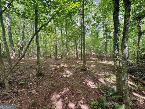 Lot 5 Fowler Creek Drive Cleveland GA 30528