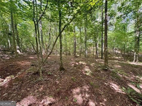 Lot 5 Fowler Creek Drive Cleveland GA 30528