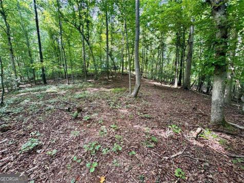 Lot 5 Fowler Creek Drive Cleveland GA 30528