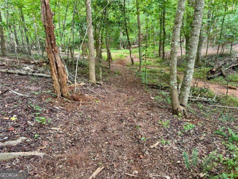 Lot 5 Fowler Creek Drive Cleveland GA 30528