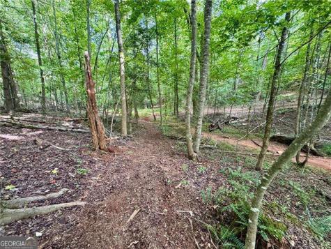 Lot 5 Fowler Creek Drive Cleveland GA 30528