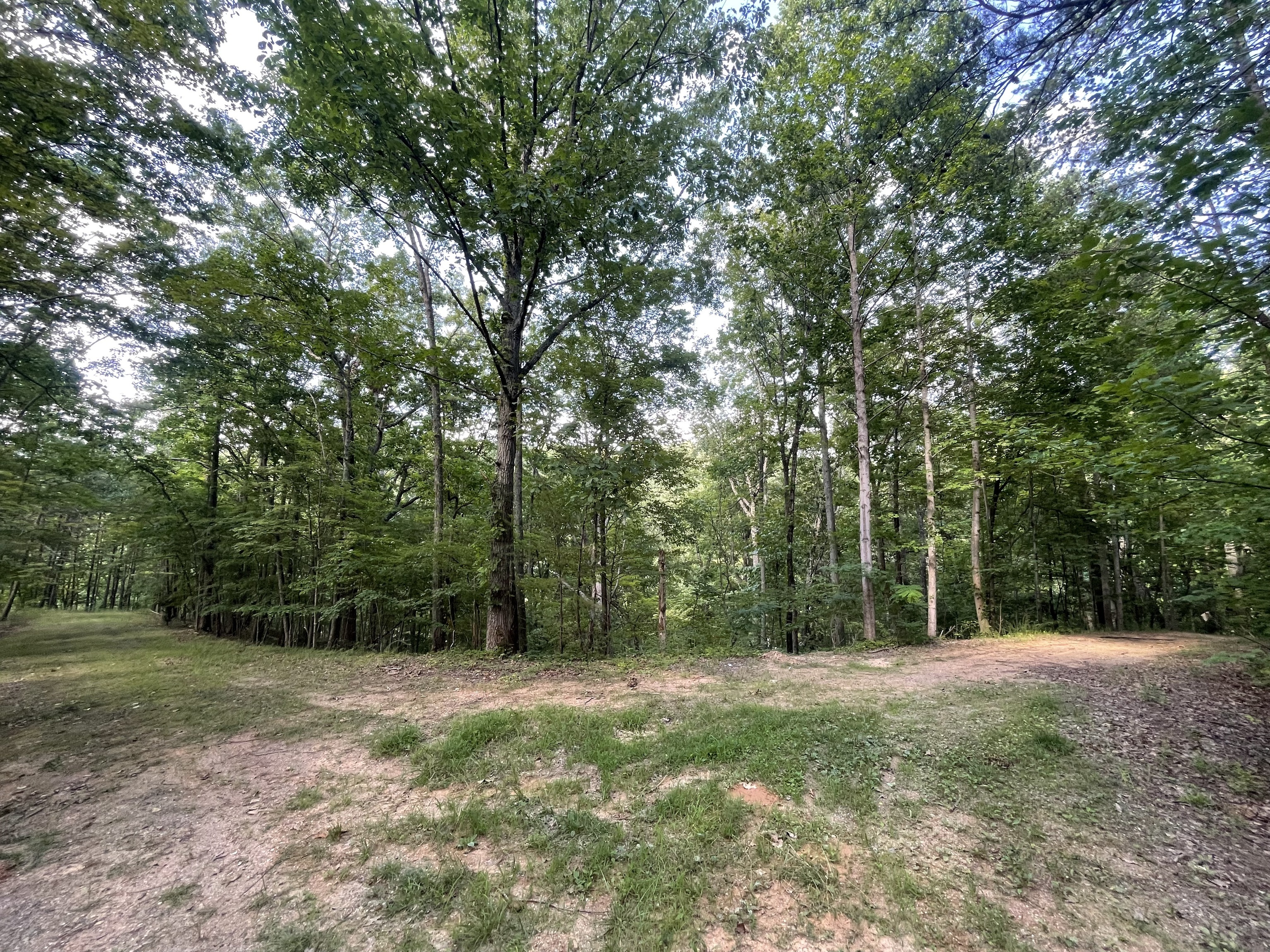 254 Oxford Circle NE Ranger GA 30734