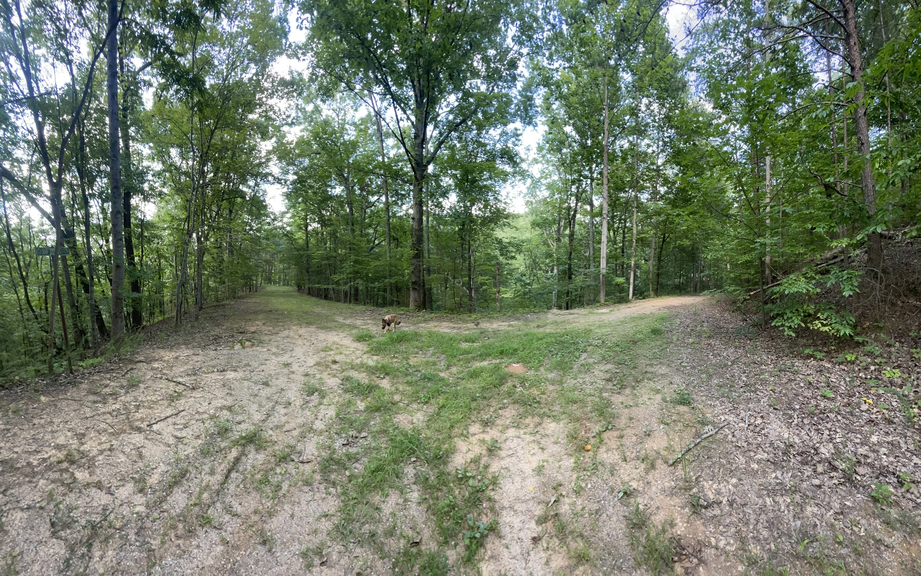 254 Oxford Circle NE Ranger GA 30734