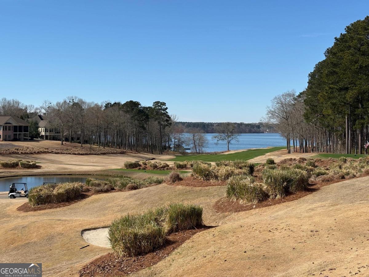 1191 Lakeview Court Greensboro GA 30642