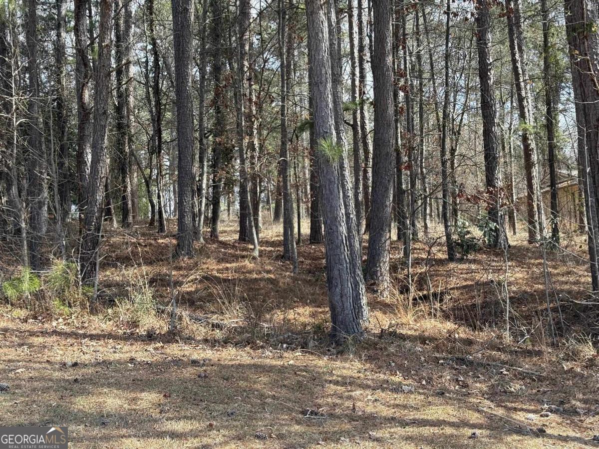 1191 Lakeview Court Greensboro GA 30642