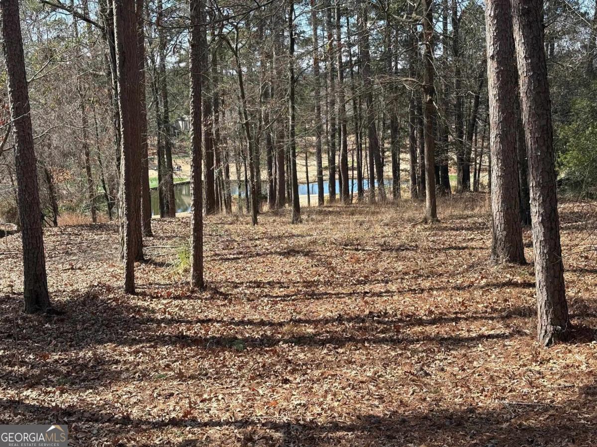1191 Lakeview Court Greensboro GA 30642