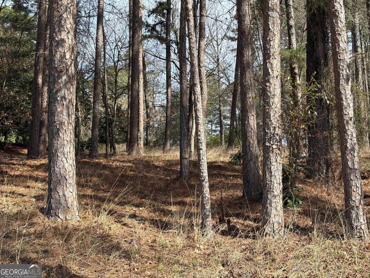 1191 Lakeview Court Greensboro GA 30642
