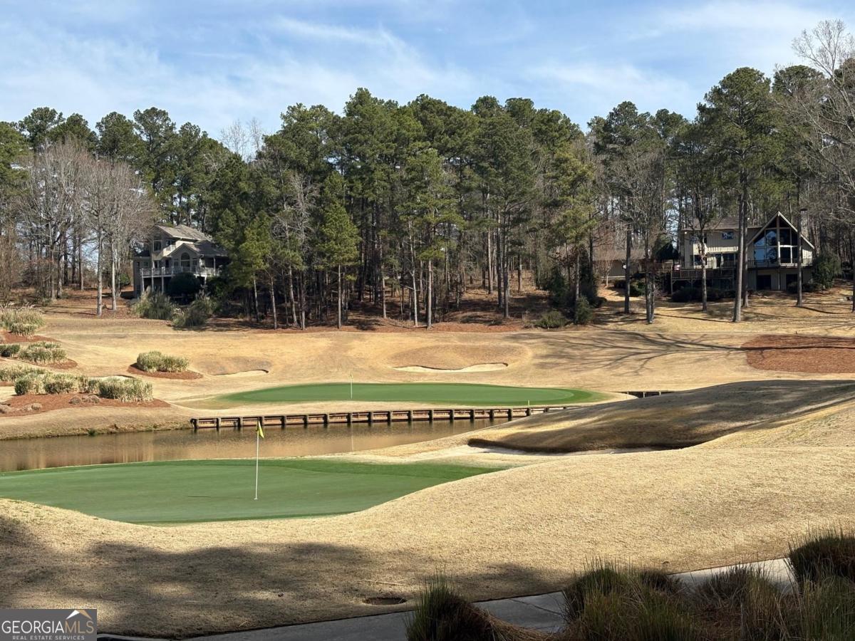 1191 Lakeview Court Greensboro GA 30642