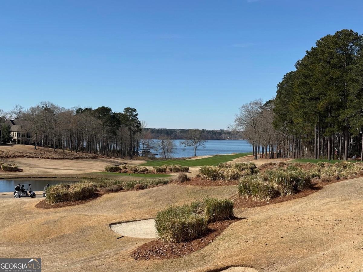 1191 Lakeview Court Greensboro GA 30642