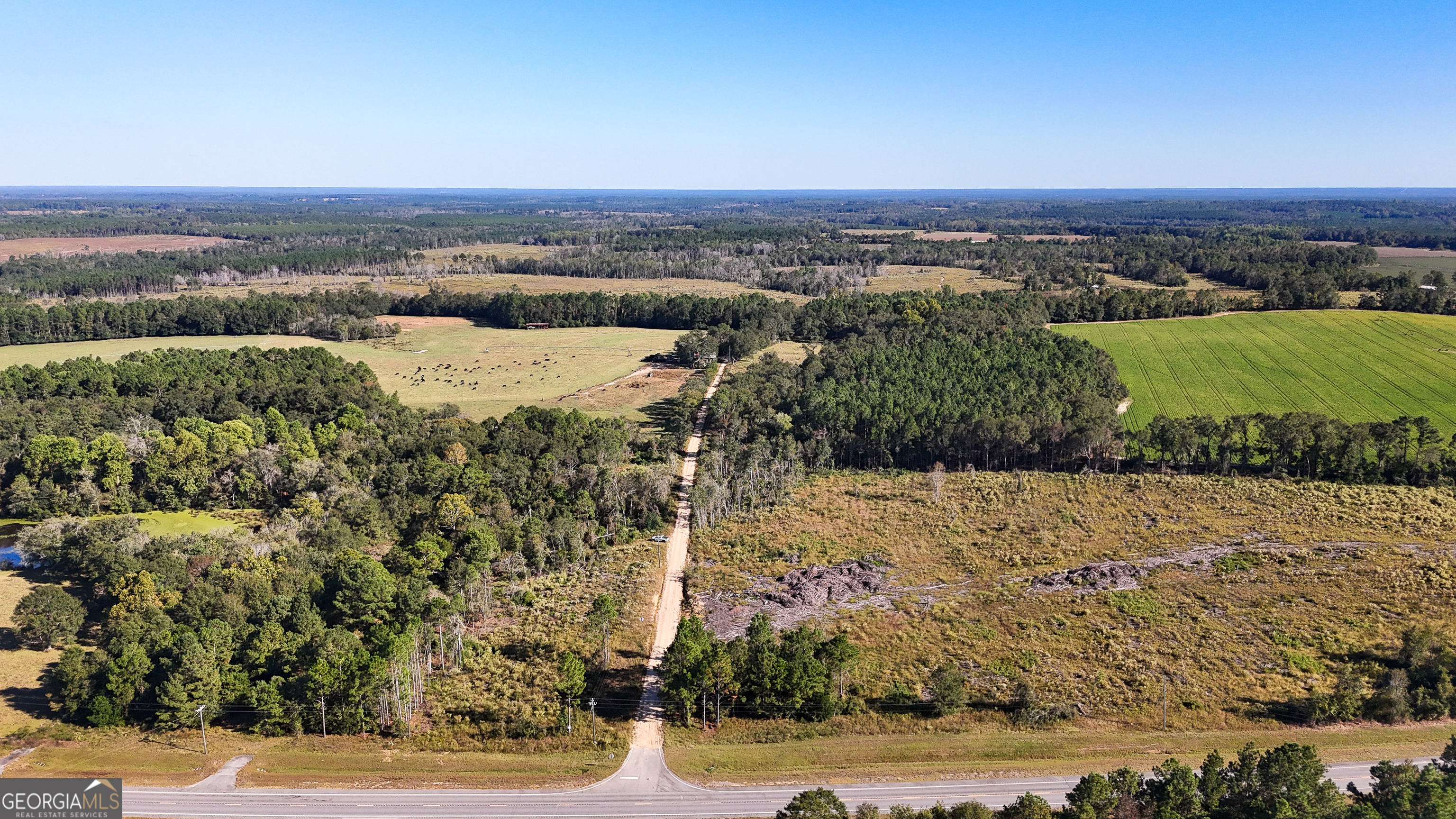 0 Highway 441 Jacksonville GA 31544