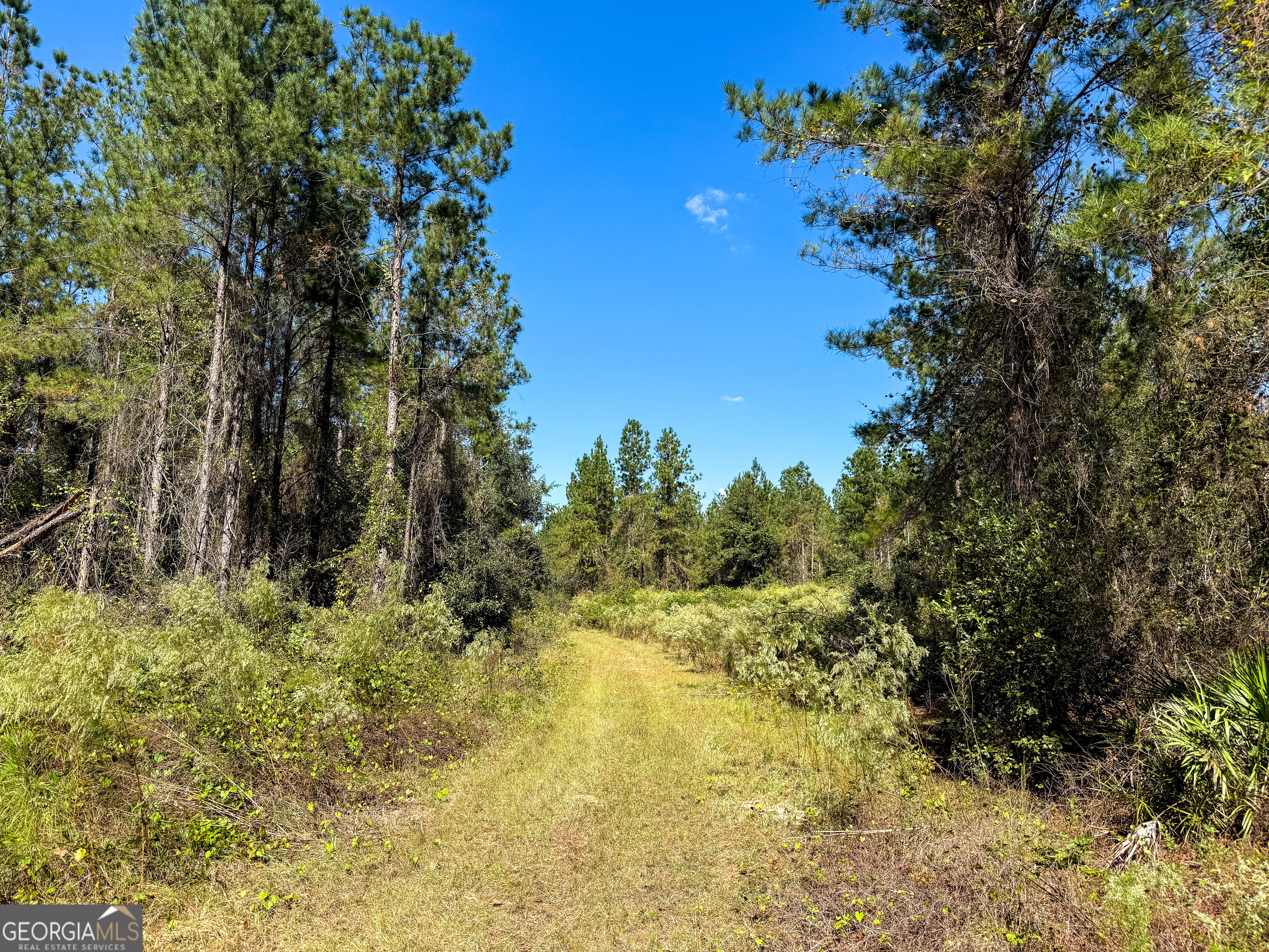 0 Highway 441 Jacksonville GA 31544