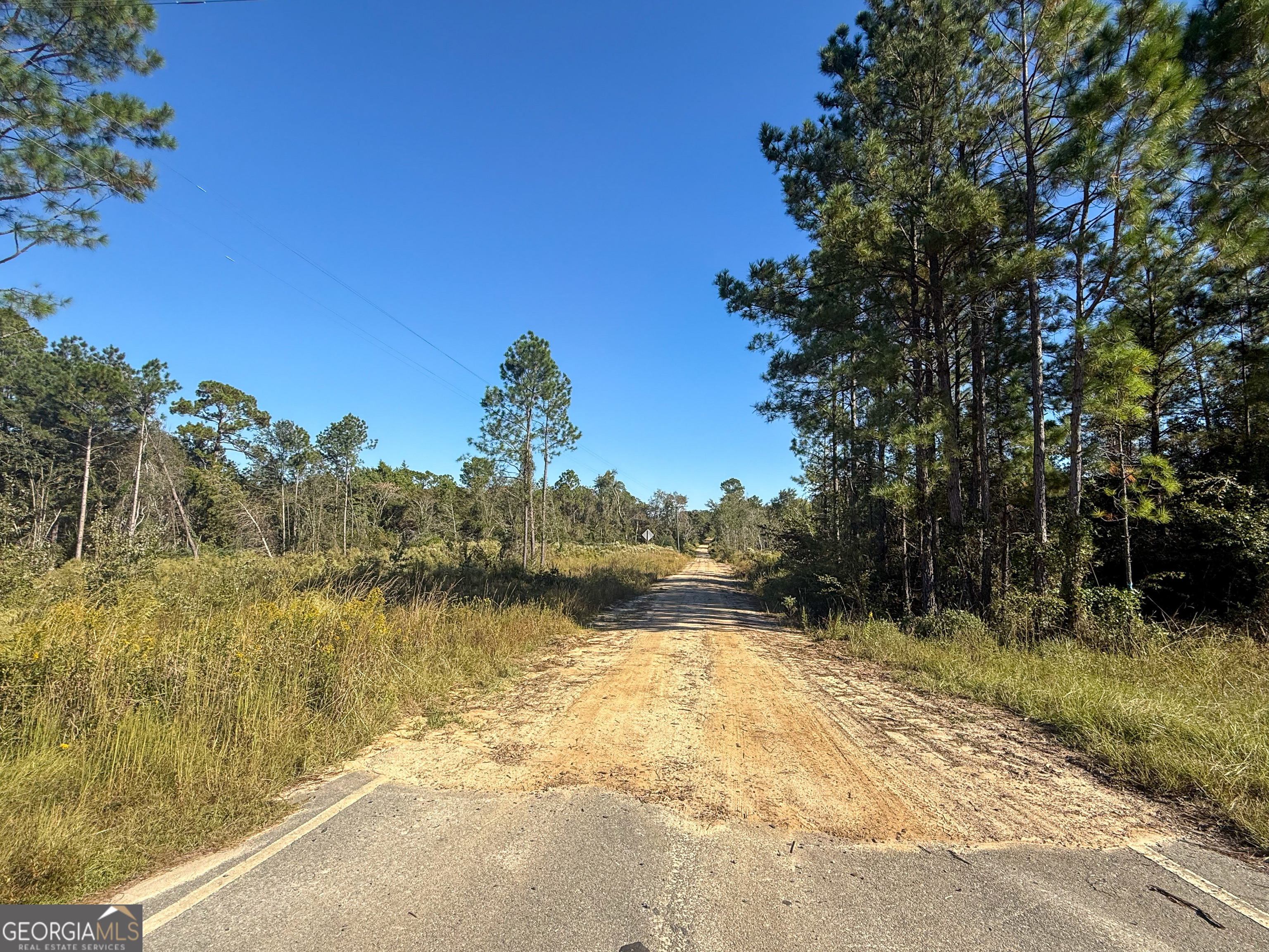 0 Highway 441 Jacksonville GA 31544