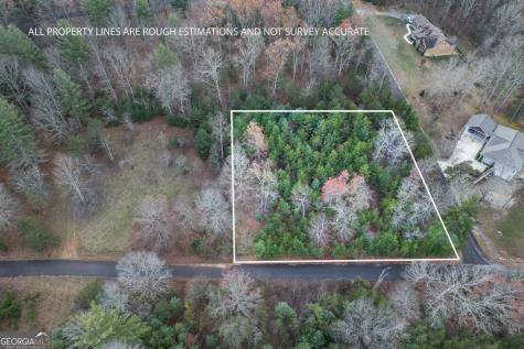 LOT 8 B & W Ranch Road Blairsville GA 30512