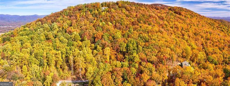 228 Stone Cliff Trace Cleveland GA 30528