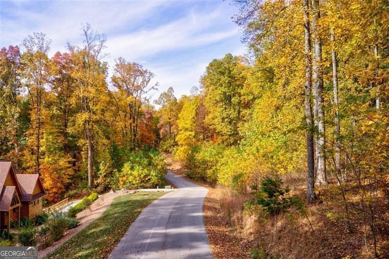 228 Stone Cliff Trace Cleveland GA 30528