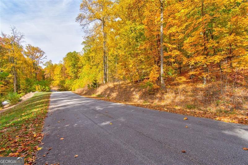 228 Stone Cliff Trace Cleveland GA 30528