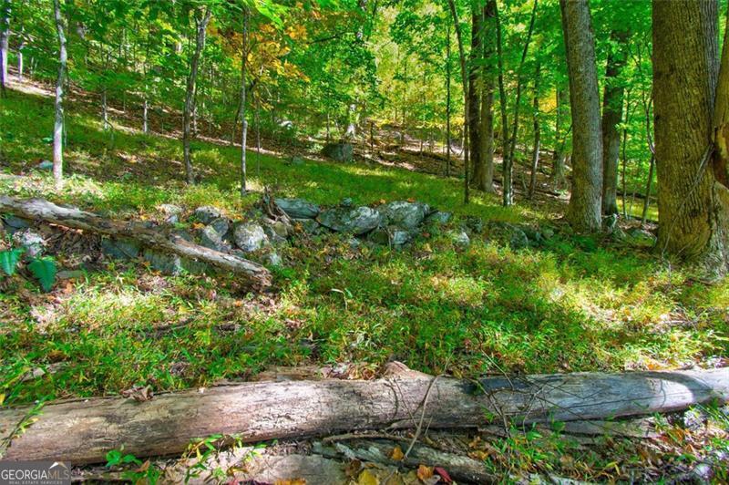 228 Stone Cliff Trace Cleveland GA 30528