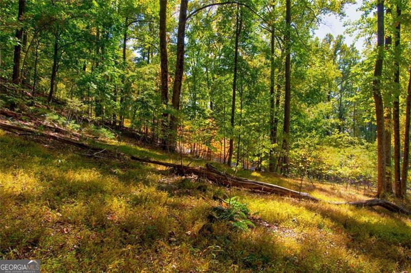 228 Stone Cliff Trace Cleveland GA 30528