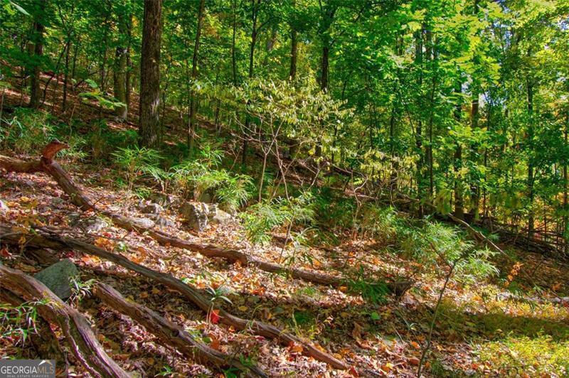 228 Stone Cliff Trace Cleveland GA 30528