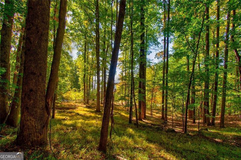 228 Stone Cliff Trace Cleveland GA 30528