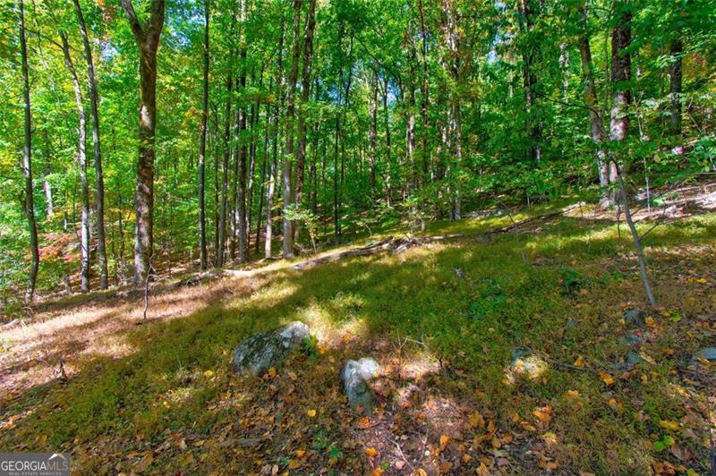 228 Stone Cliff Trace Cleveland GA 30528