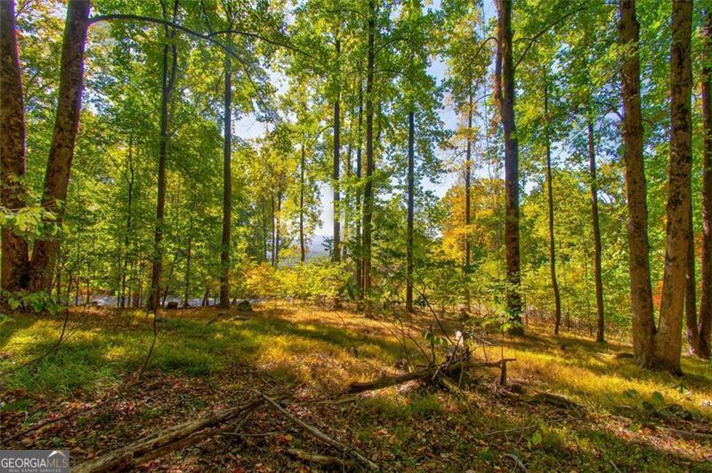 228 Stone Cliff Trace Cleveland GA 30528