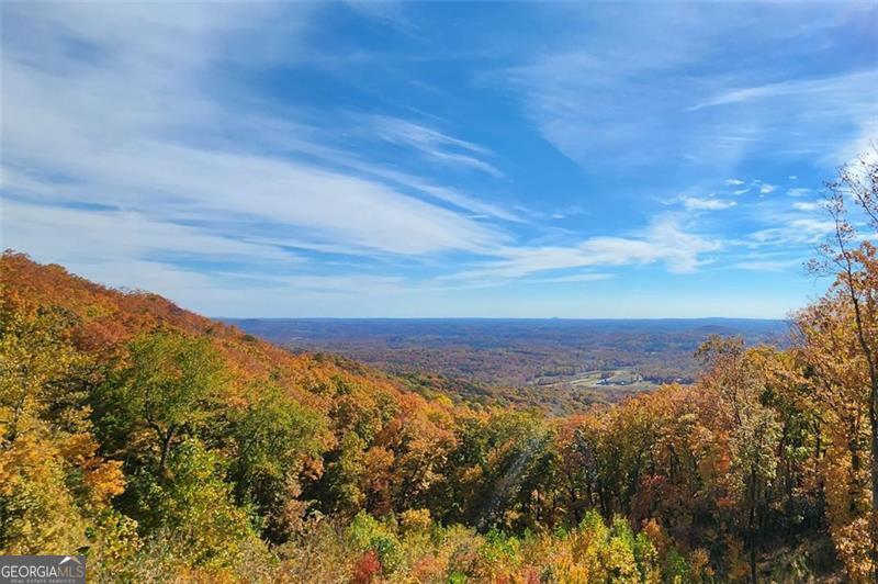 228 Stone Cliff Trace Cleveland GA 30528