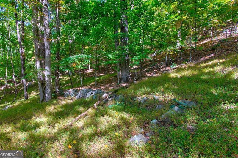 228 Stone Cliff Trace Cleveland GA 30528